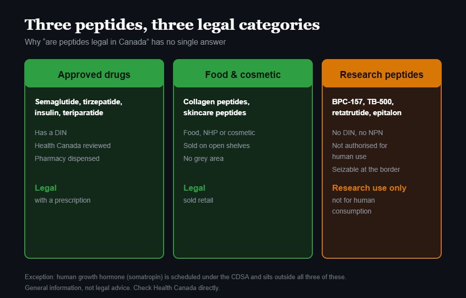 Comparison of three peptide categories in Canada: approved prescription drugs such as semaglutide and insulin, food and cosmetic peptides such as collagen, and unapproved research peptides such as BPC-157 and retatrutide.